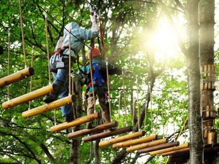 high-ropes-course-event